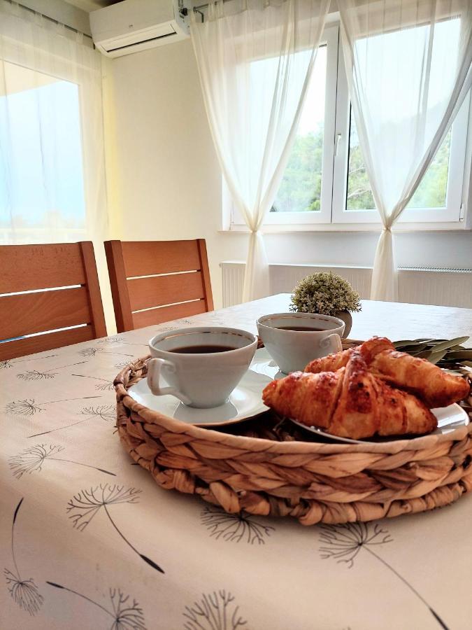 Dia Apartment Zaostrog