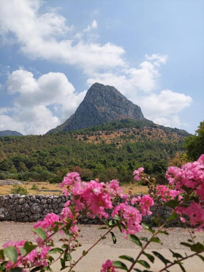 Dia * Zaostrog